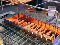 -邢氏老太太烧烤(罗湖店)