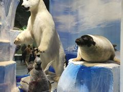 -国家自然博物馆