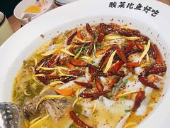 -太二酸菜鱼(沈阳万象城店)