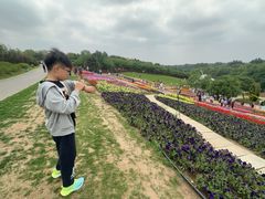 -沈阳植物园