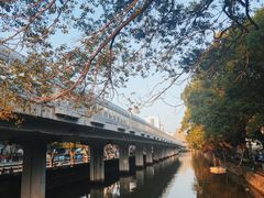 -沙面人才休闲岛