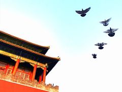-故宫博物院(故宫)