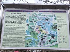 -靖西鹅泉风景区