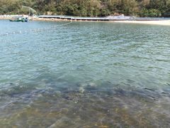 -东澳岛