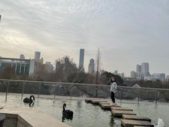 -行者书屋大堂吧 ·下午茶(南京圣和府邸酒店)