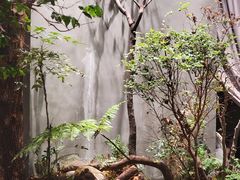 -森SPA·泰式按摩·精油Massage(宝安中心店)