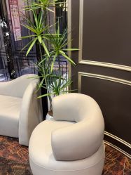 -八佰伴8008星级形象店