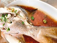 -七鲜渔港美食餐厅(巽寮湾海景店)