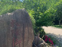 -苏州上方山国家森林公园