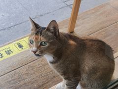 -Poke lemon海鲜波奇饭·柠檬茶(金碧开放小区店)