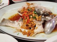 -新白鹿餐厅(百联中环店)