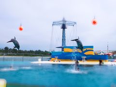 -秦皇岛乐岛海洋王国