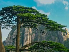 -黄山风景区