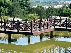 -北京西山国家森林公园