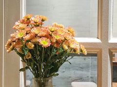 -囿面传统制面馆(中央路店)