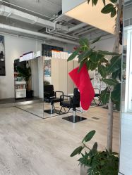 -Hair  Gallery