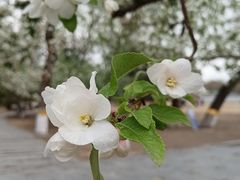 -太阳宫公园