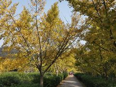 -悦禧耕岛酒店·指月坞餐厅·旺山特色农家乐