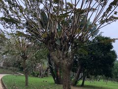 -红色娘子军纪念园