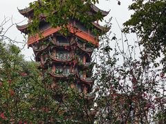 -塔子山公园