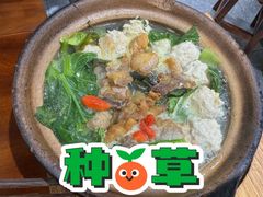 -陈婆婆砂锅·椒麻水煮鱼·特色小炒