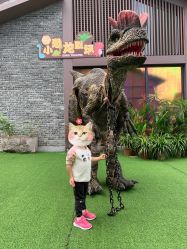 -恐龙探索乐园(磁器口店)