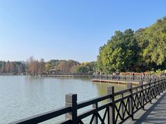 -海珠湖公园