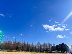 -洱海月湿地公园