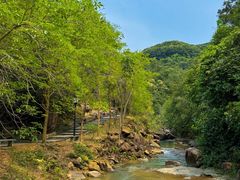 -广州白江湖森林公园