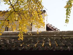 -裕兴记·三虾面(西北街总店)