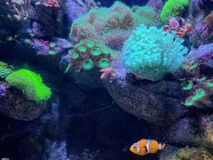 -成都浩海立方海洋公园