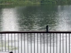 -丁香湖公园