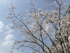 -杭州湖滨in77