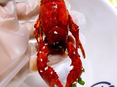 -松哥油焖大虾·外卖(西乡店)