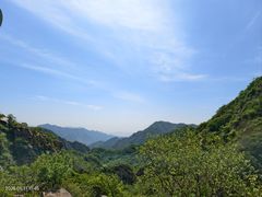 -大岭沟猕猴桃谷风景区