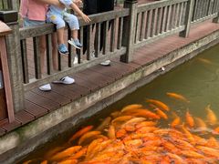 -枫香湖儿童公园