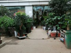 -双季花艺园艺市场(浦东店)