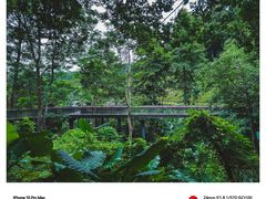 -阳台山森林公园