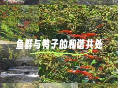 -水磨沟公园