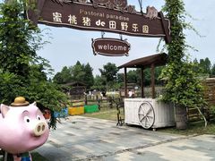-田园东方蜜桃村的田野营地