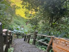 -海口火山口国家地质公园