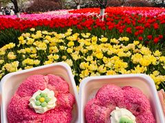 -南宋胡记(杭州体育场路店)