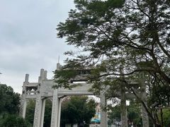 -梧桐山风景名胜区