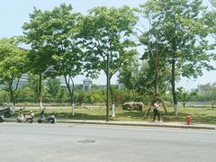 -东南大学(九龙湖校区)