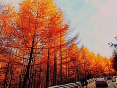 -秦岭风景区