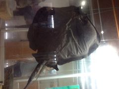 华夏国际影城(鲁广店)-武汉华夏国际影城(鲁广店)