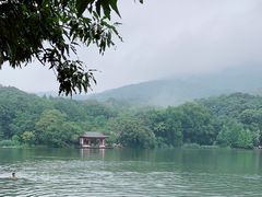 -紫霞湖公园