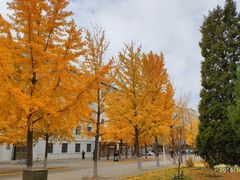 -东北大学(南湖校区)