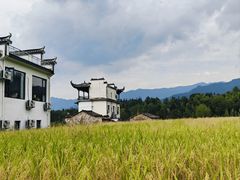 -塔川景区