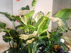 -J Create城市露营咖啡·简餐·宠物(上海动物园店)